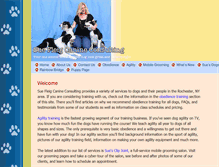 Tablet Screenshot of dogbegood.com